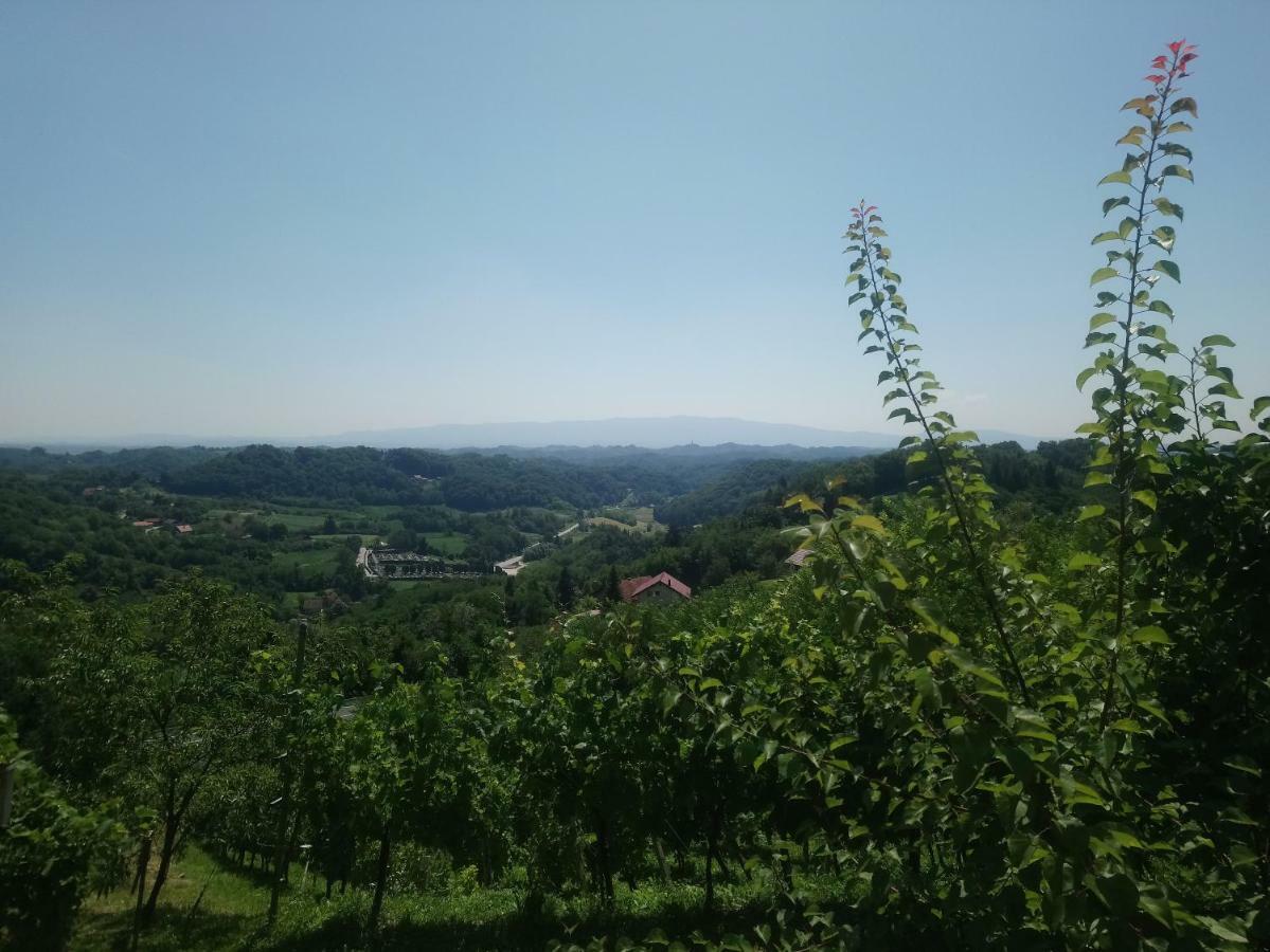 Apartman Rico Klanjec Zewnętrze zdjęcie